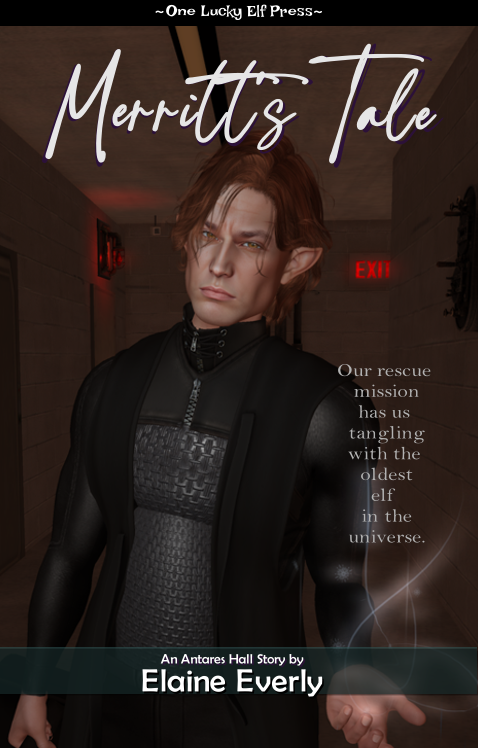 Merritt's Tale - Book 4